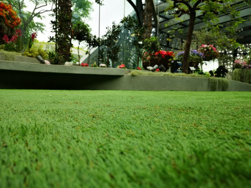 Floral Fantasy – Gardens by the Bay