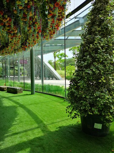 EXPOflor Gallery - Floral Fantasy – Gardens by the Bay