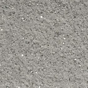 EXPOflor - Platinum Silver 1262
