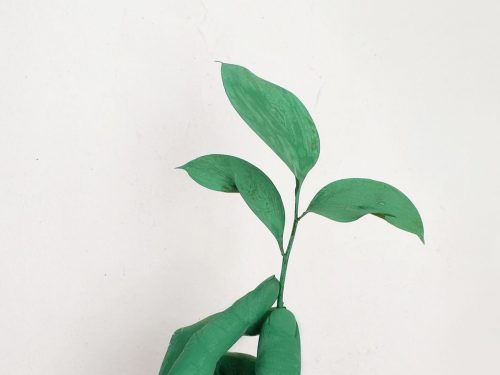 EXPOflor - Green Vision